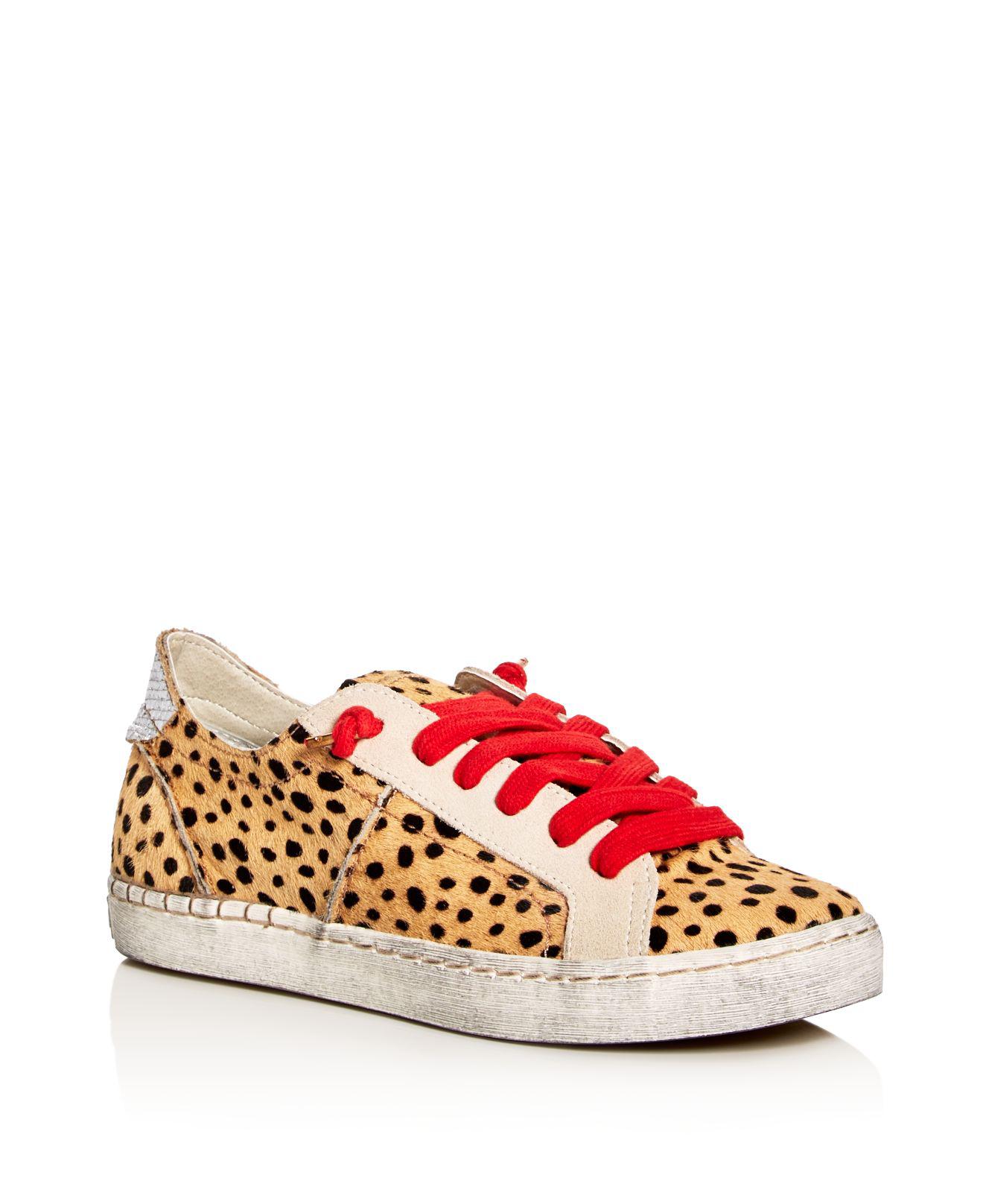 dolce vita leopard sneakers with red laces
