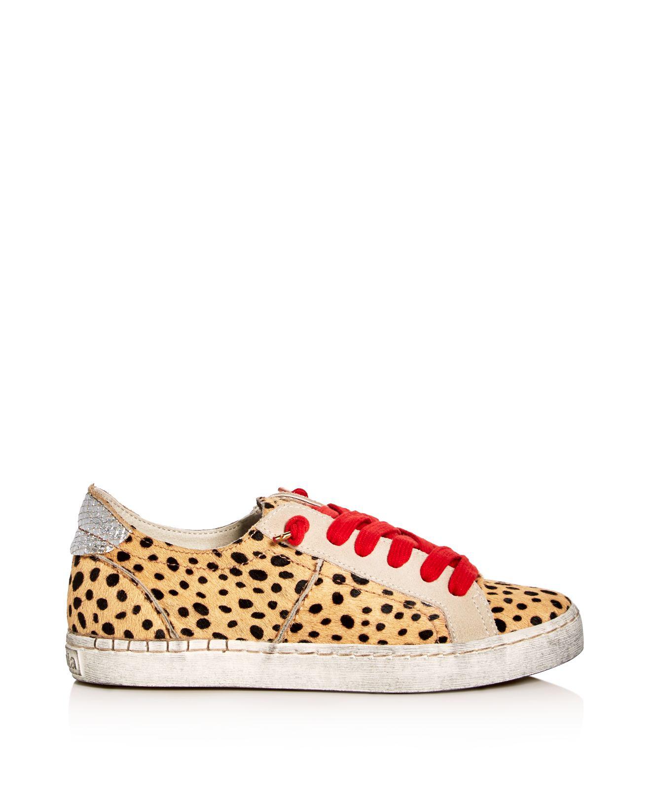 dolce vita leopard sneakers with red laces
