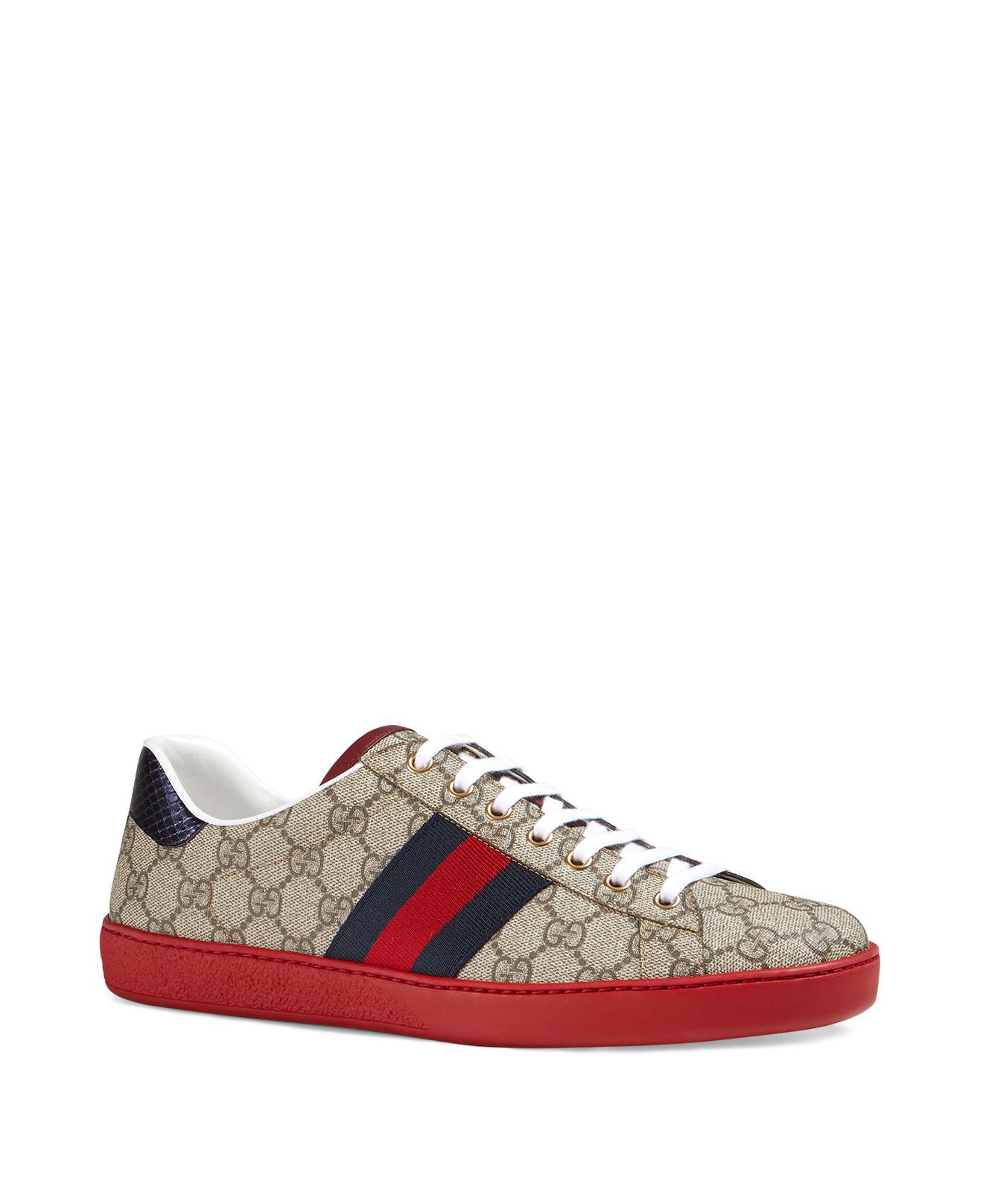 ace gg supreme sneaker black