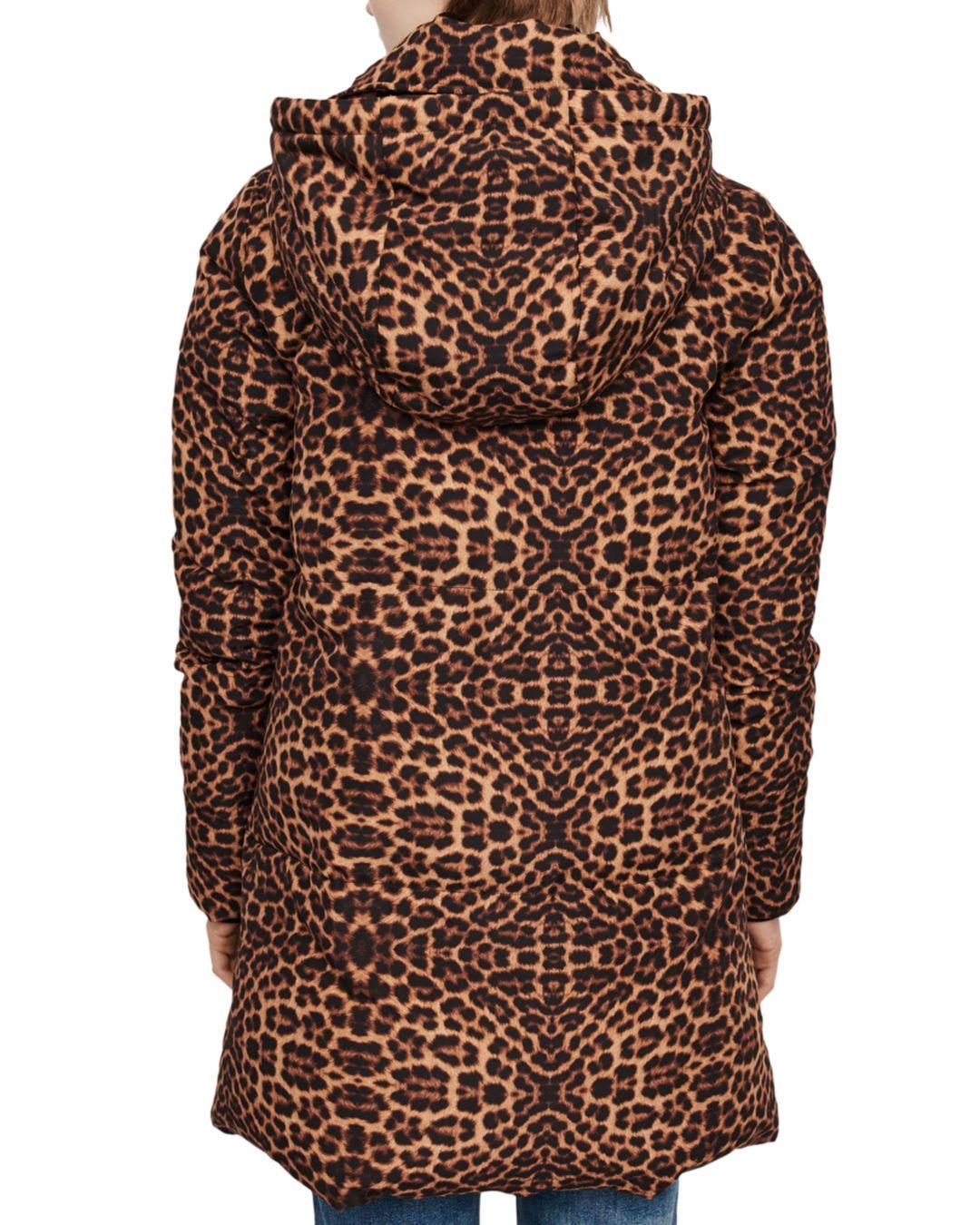 maje leopard coat