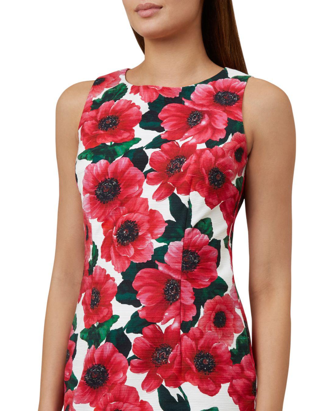 hobbs moira dress raspberry