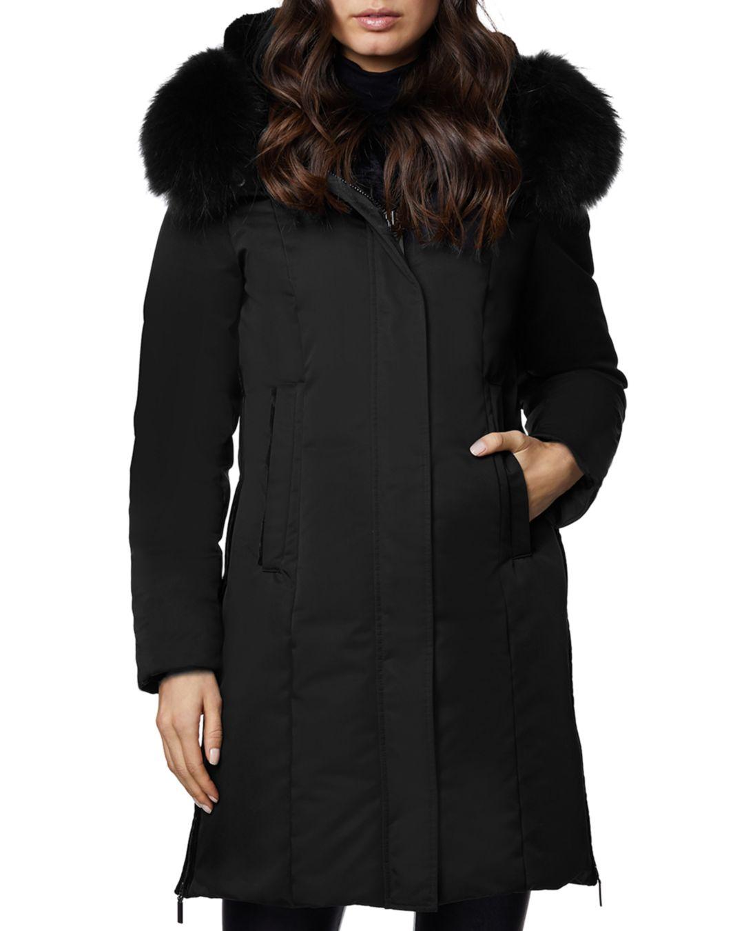 dawn levy luna jacket