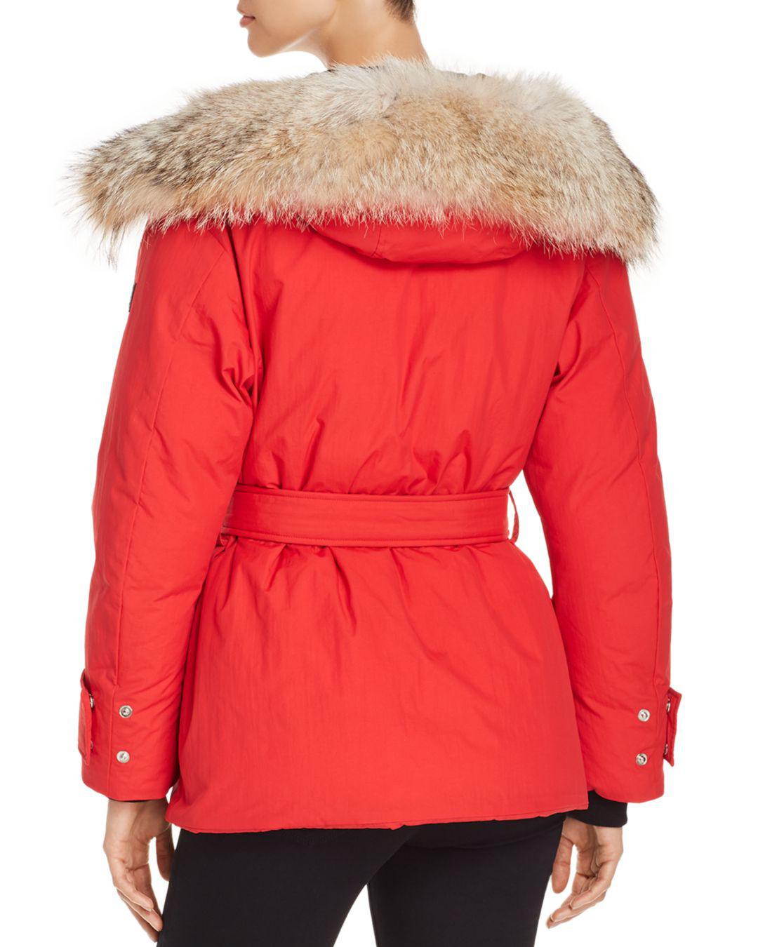 belstaff dawlby jacket