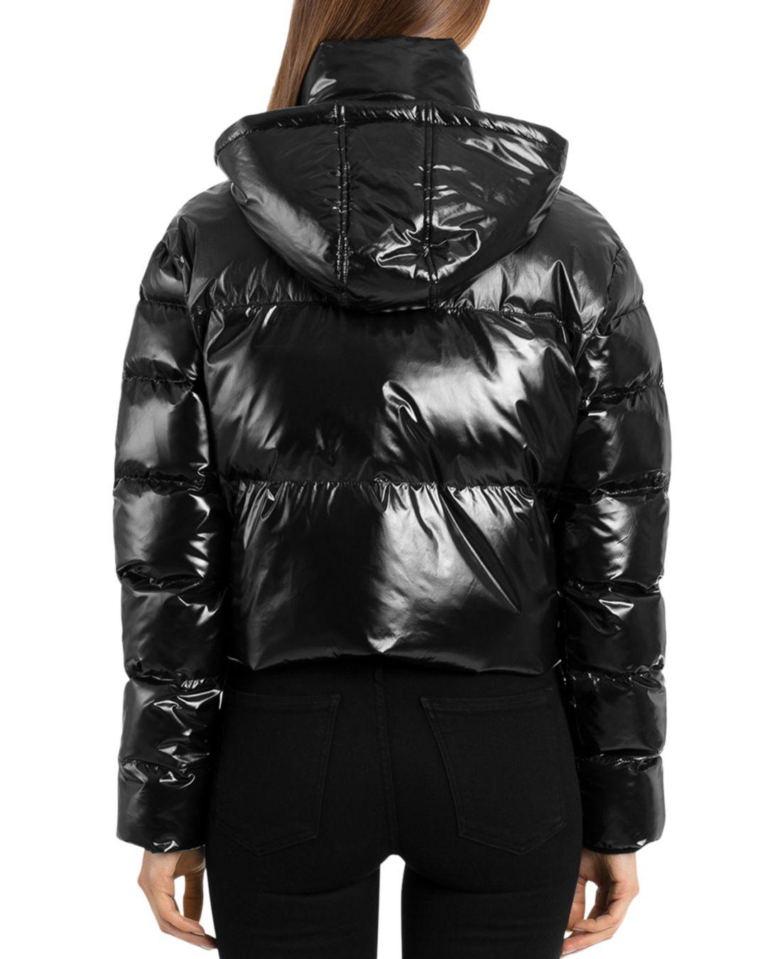 BAGATELLE.NYC Cropped Hooded Puffer Jacket in Black - Lyst