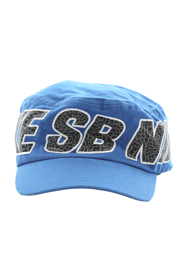 Nike Cotton Sb Painters Cap in Blue for 
