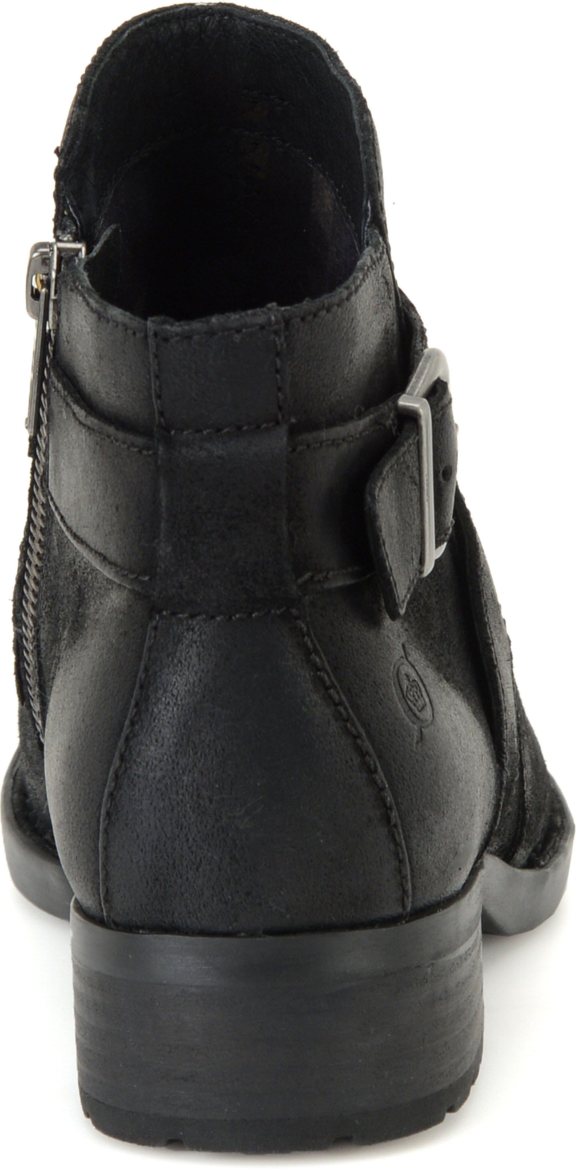 born trinculo dsw