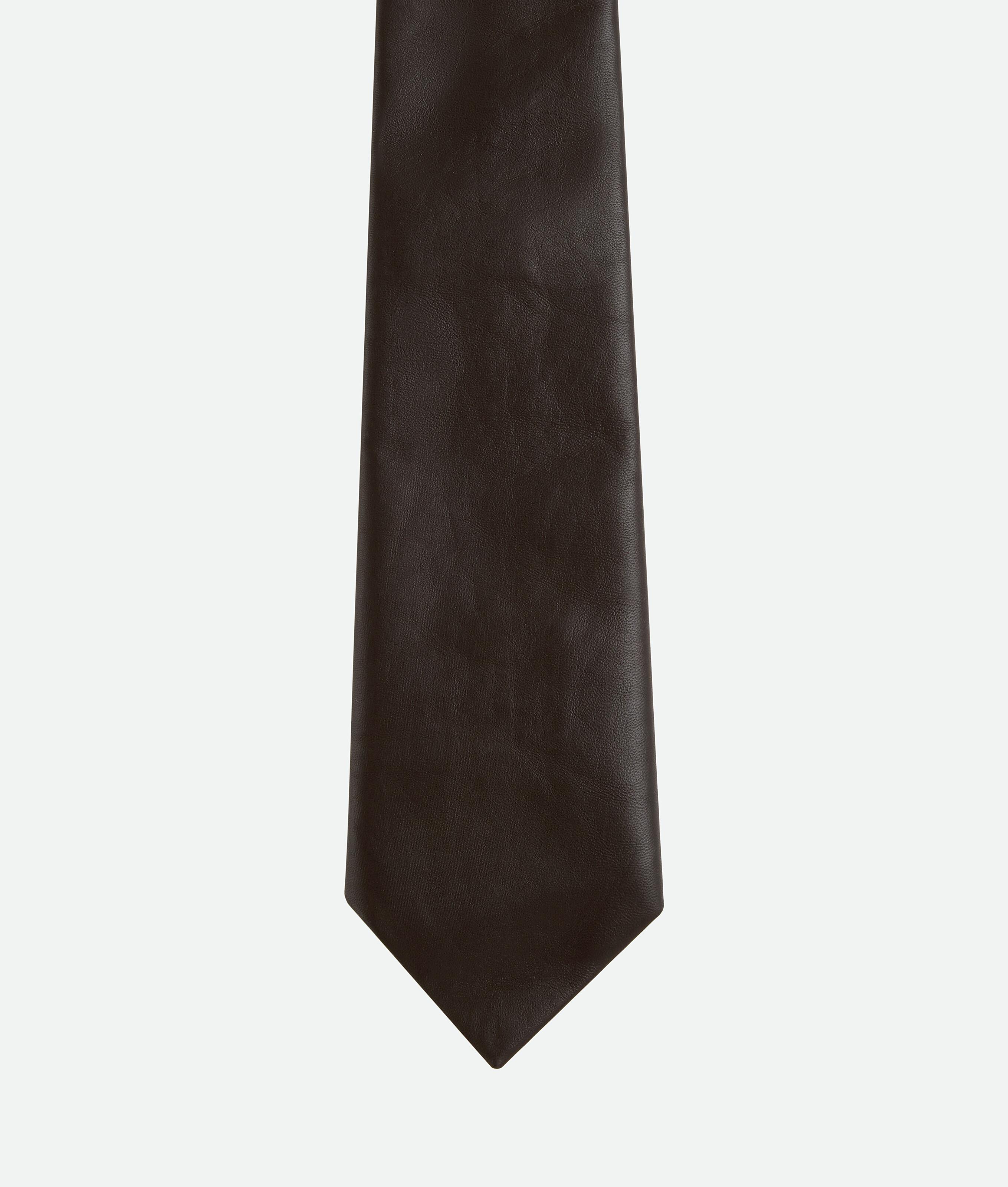 Bottega Veneta Ties for Men | Online Sale up to 53% off | Lyst