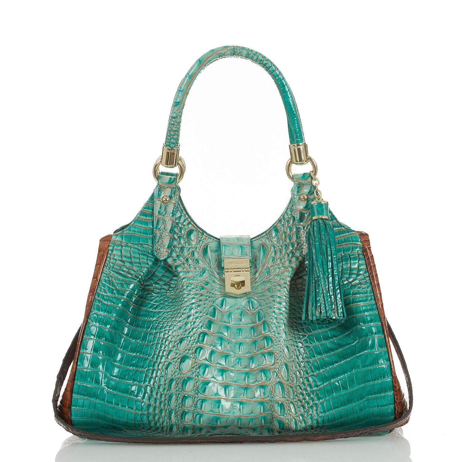 History Of The Brahmin Handbag IUCN Water