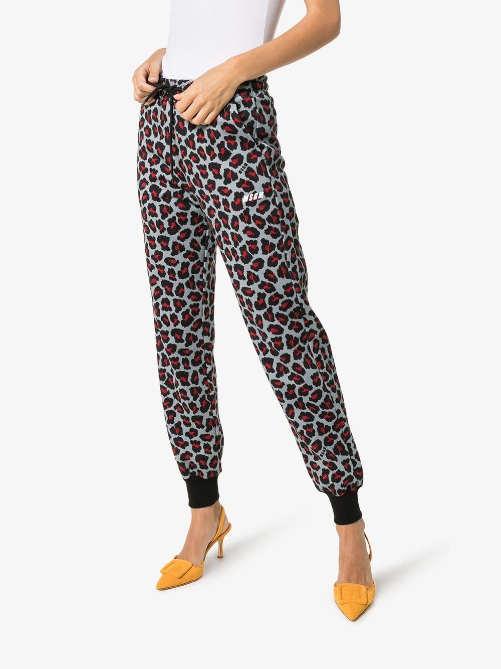leopard print track pants