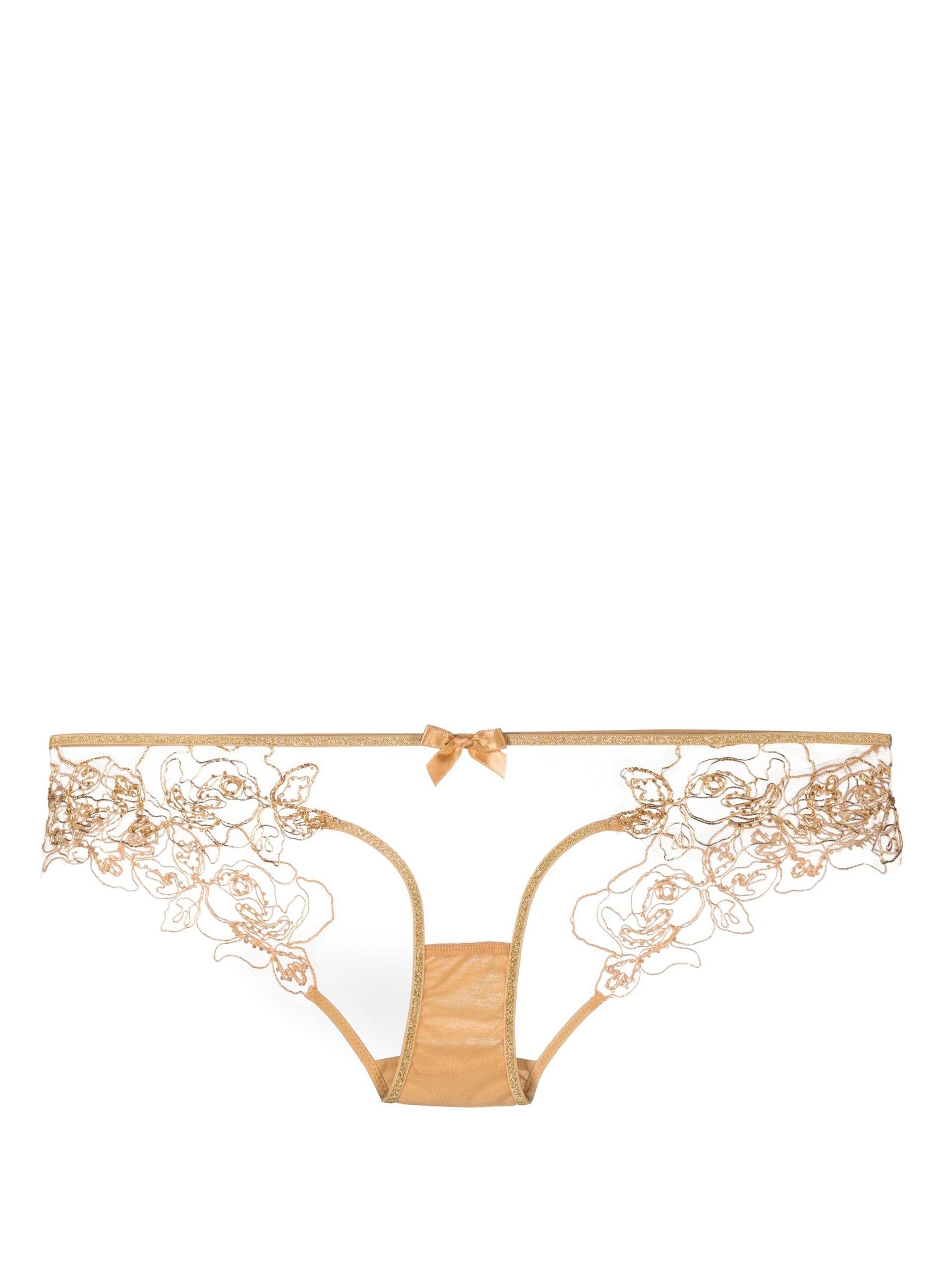 Agent Provocateur Neutral Lindie Embroidered Briefs in Metallic | Lyst