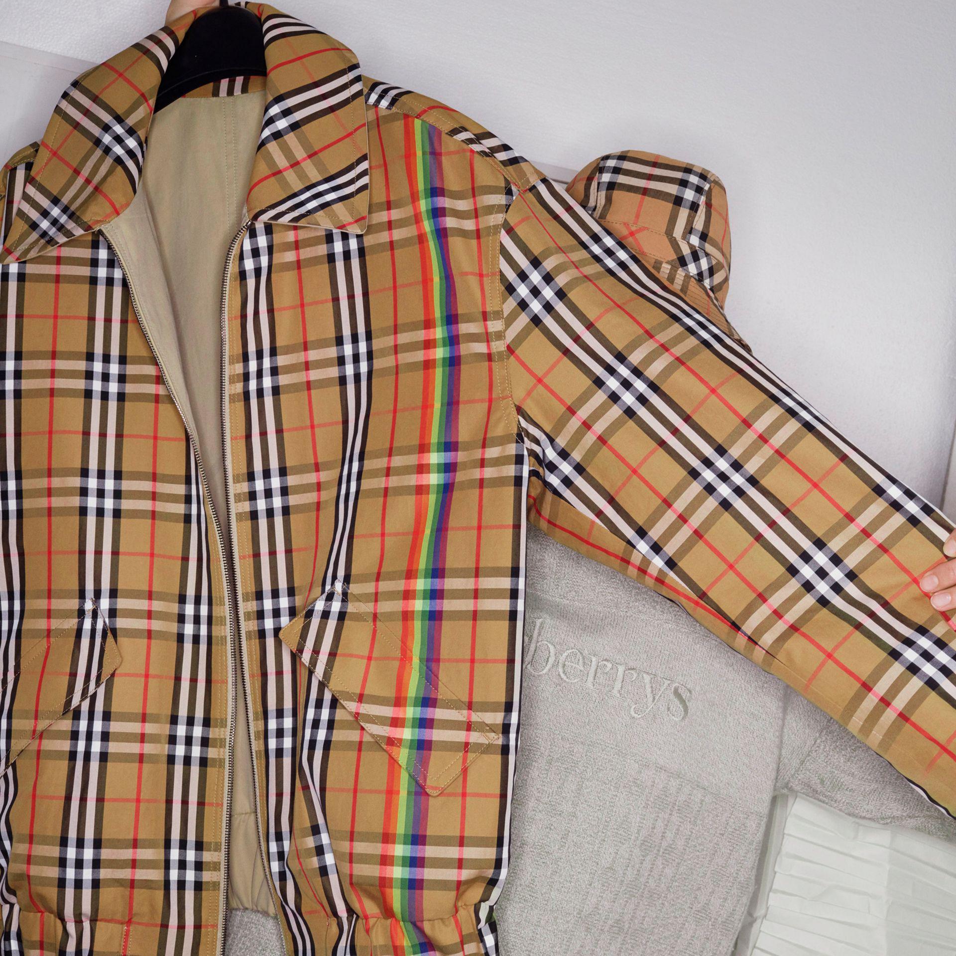 burberry jacket rainbow