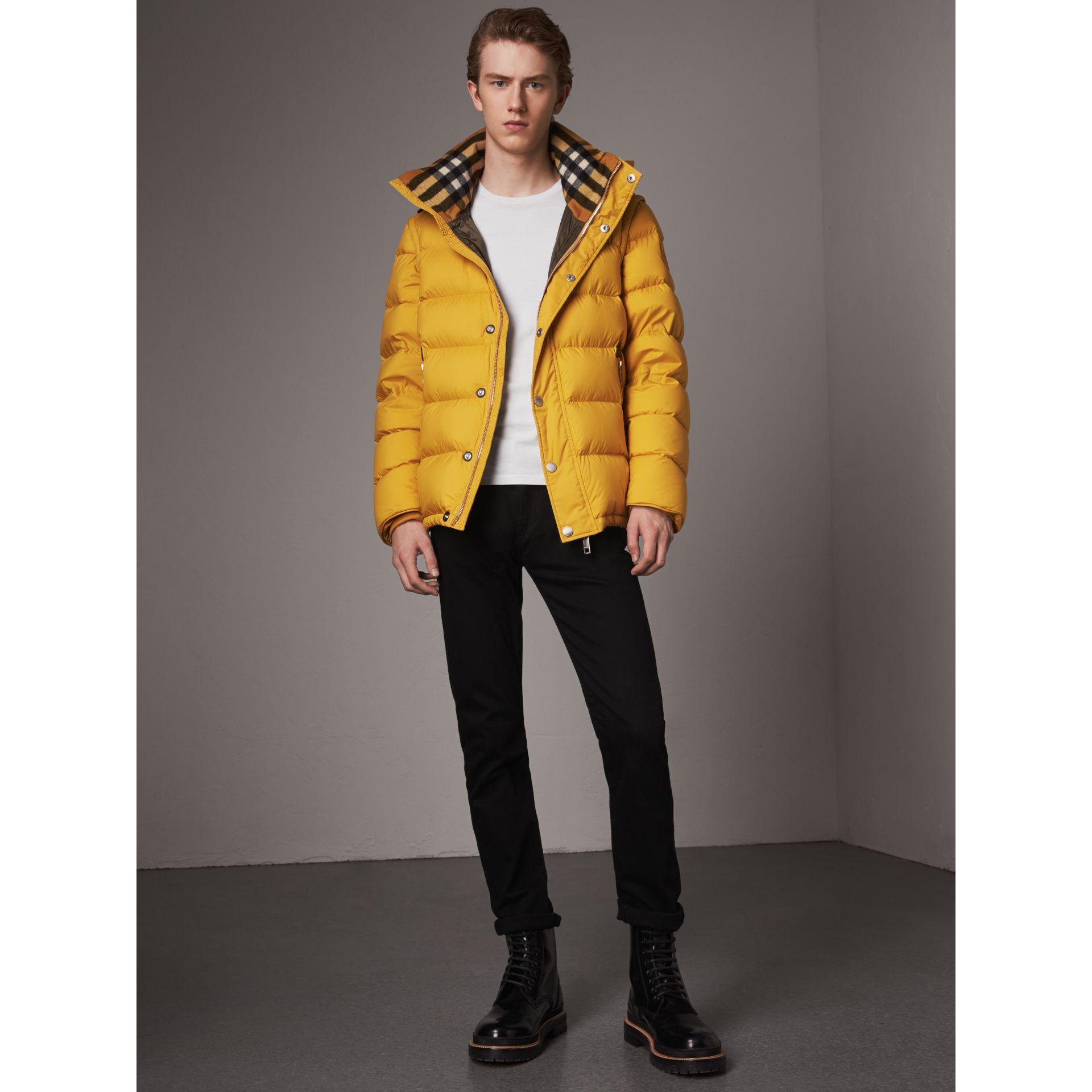 Yellow Burberry Jacket Hotsell, 56% OFF | blountindustry.com