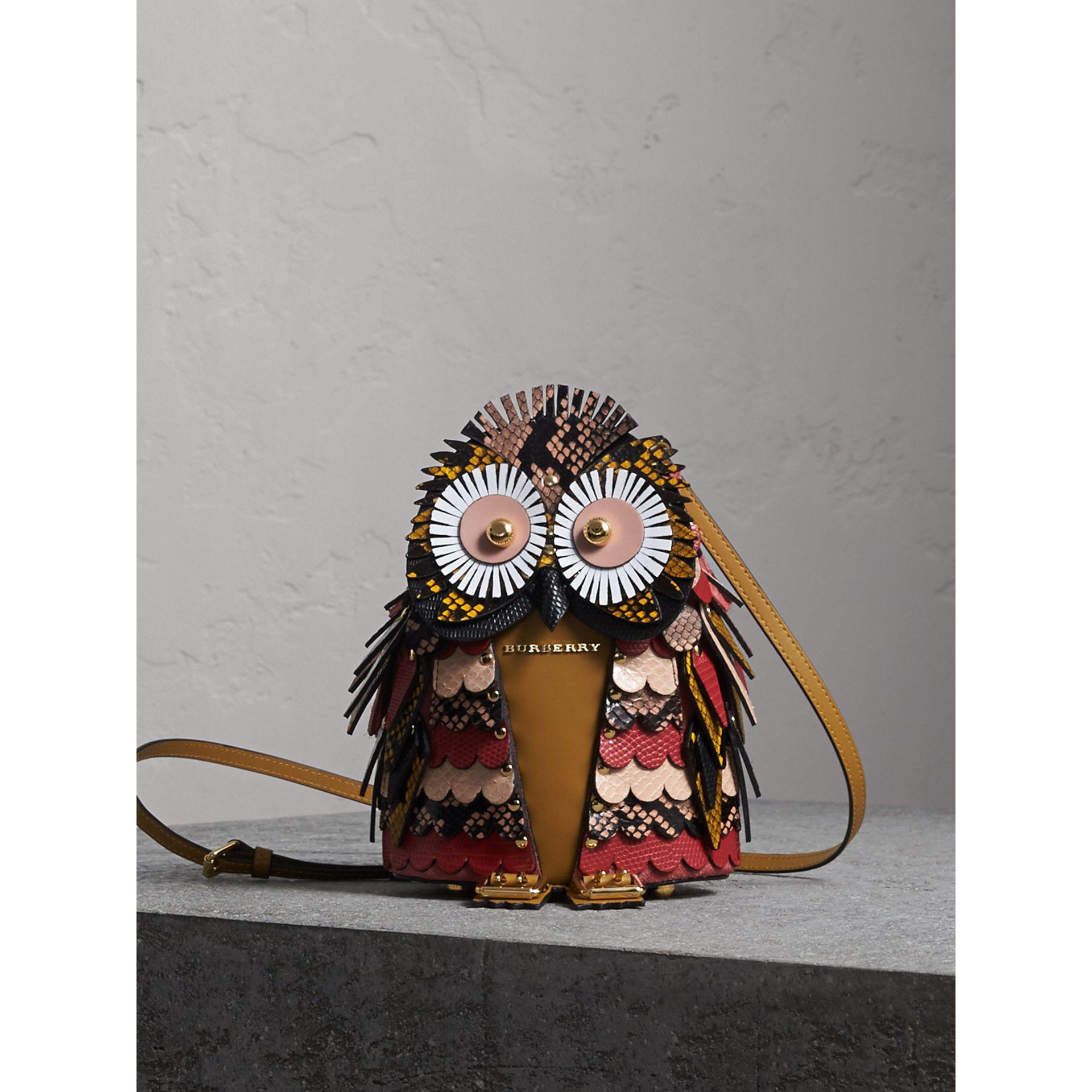The Owl Calf Suede And Snakeskin Crossbody Bag The Owl Calf Suede And Snakeskin Crossbody Bag