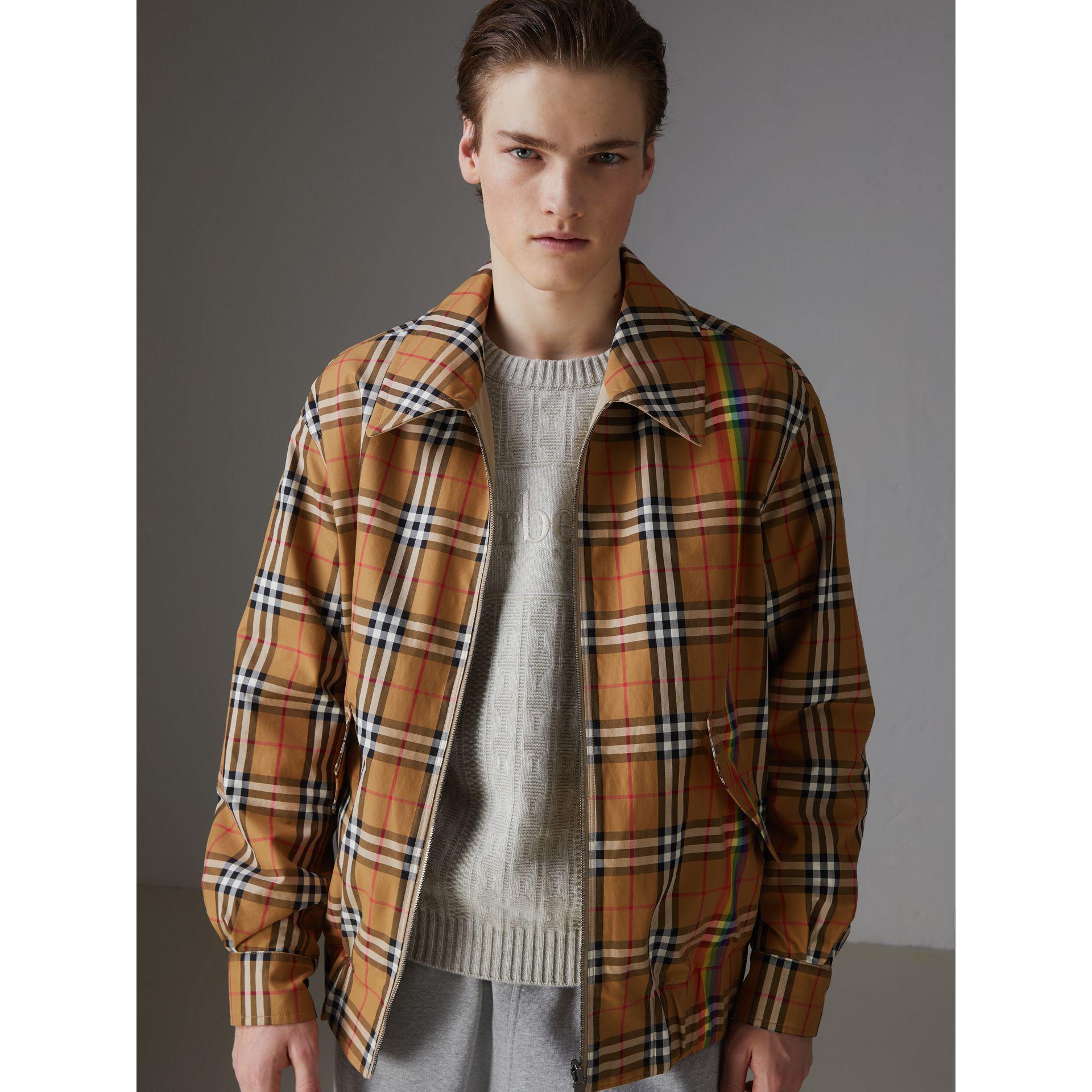 burberry jacket rainbow