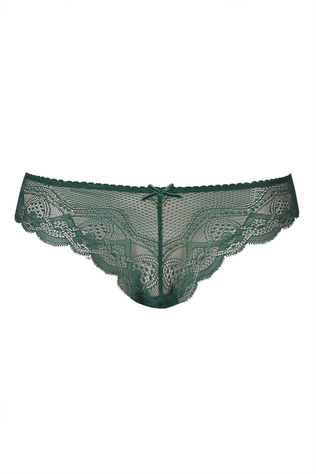 Lace Brazilian Knickers in Forest (Green) Lyst