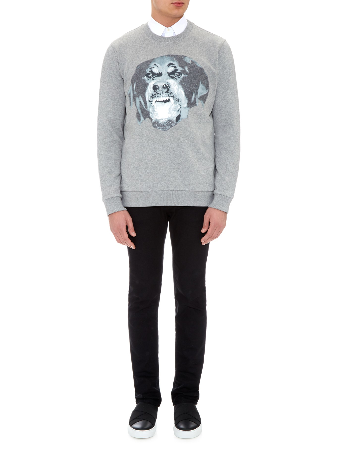 givenchy sweatshirt dog
