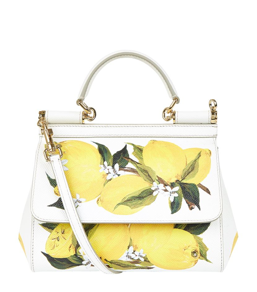 Dolce And Gabbana Lemon Bag Flash Sales, 52% OFF | ilikepinga.com