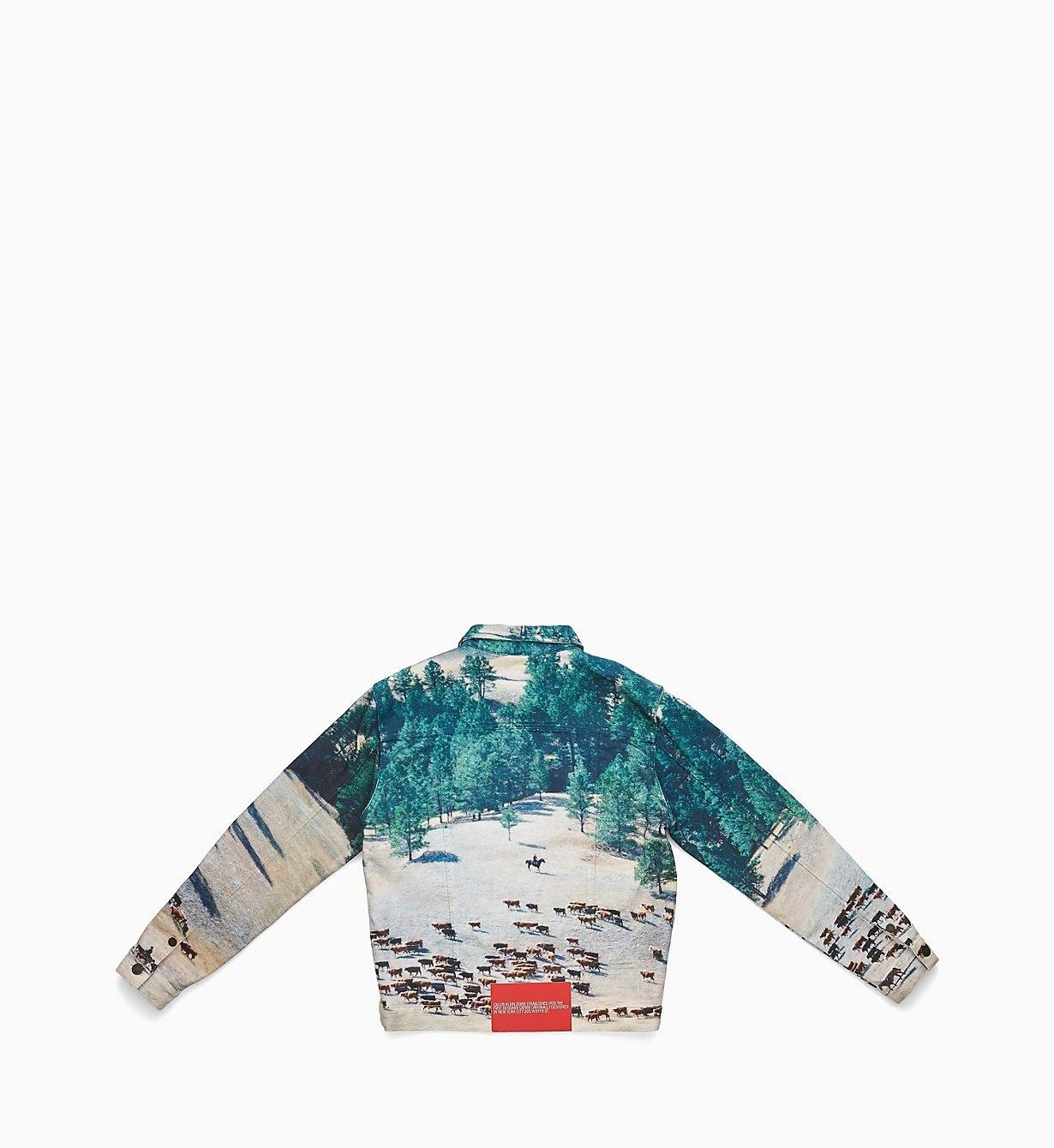 calvin klein landscape jacket