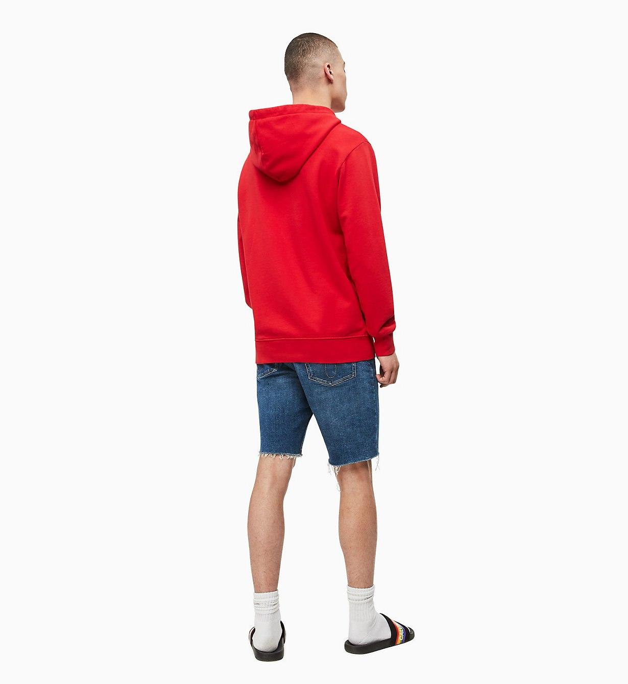 calvin klein rainbow hoodie