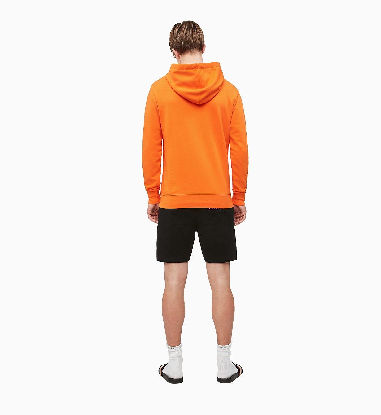 calvin klein rainbow hoodie