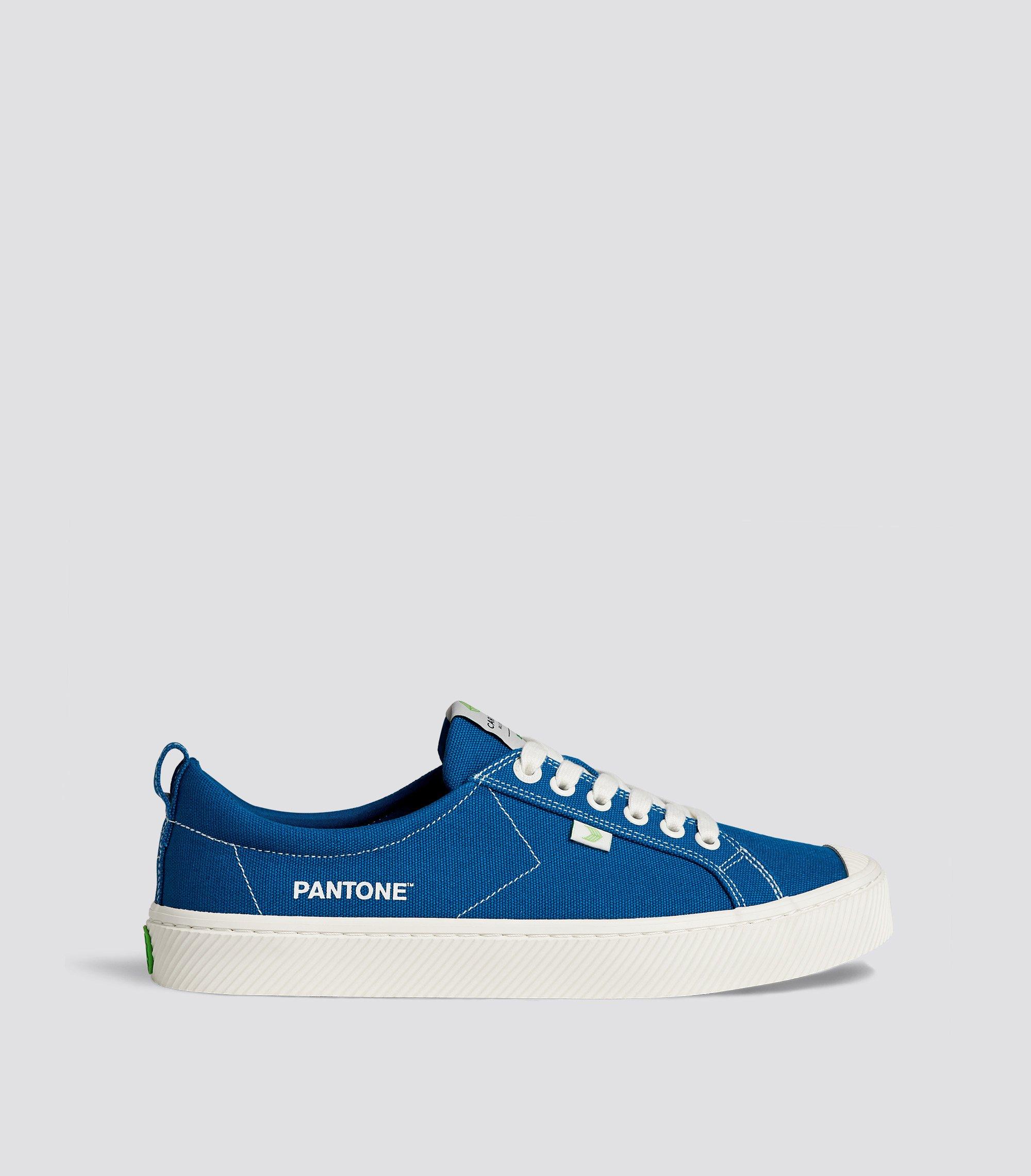 cariuma canvas sneakers