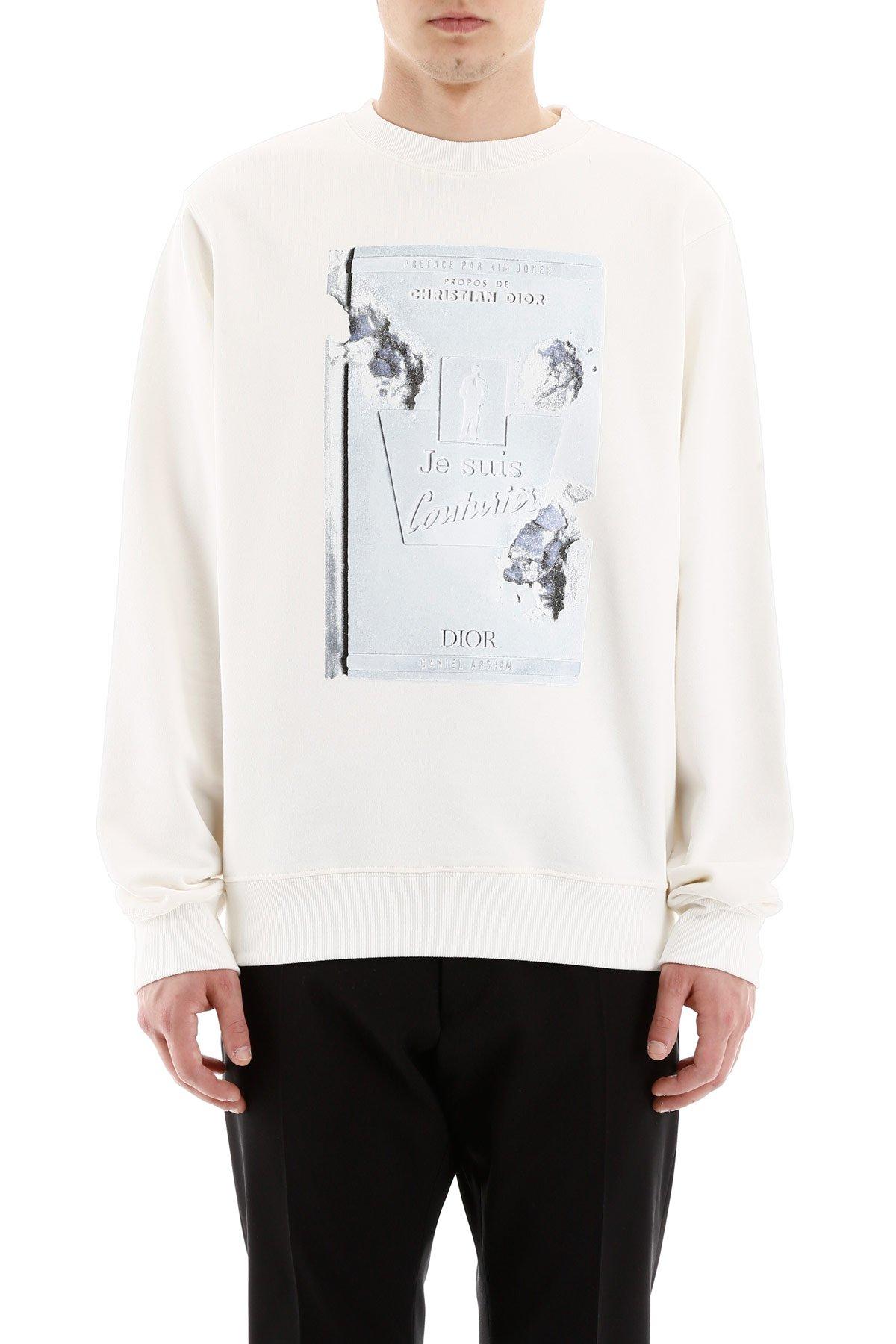 dior daniel arsham sweatshirt