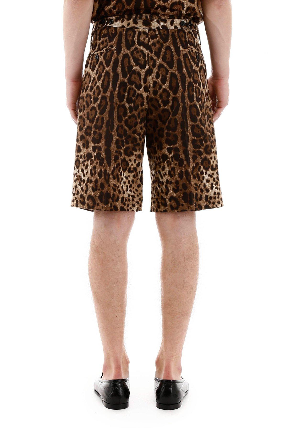 Dolce & Gabbana Cotton Animal Print Bermuda Shorts in Brown for Men - Lyst