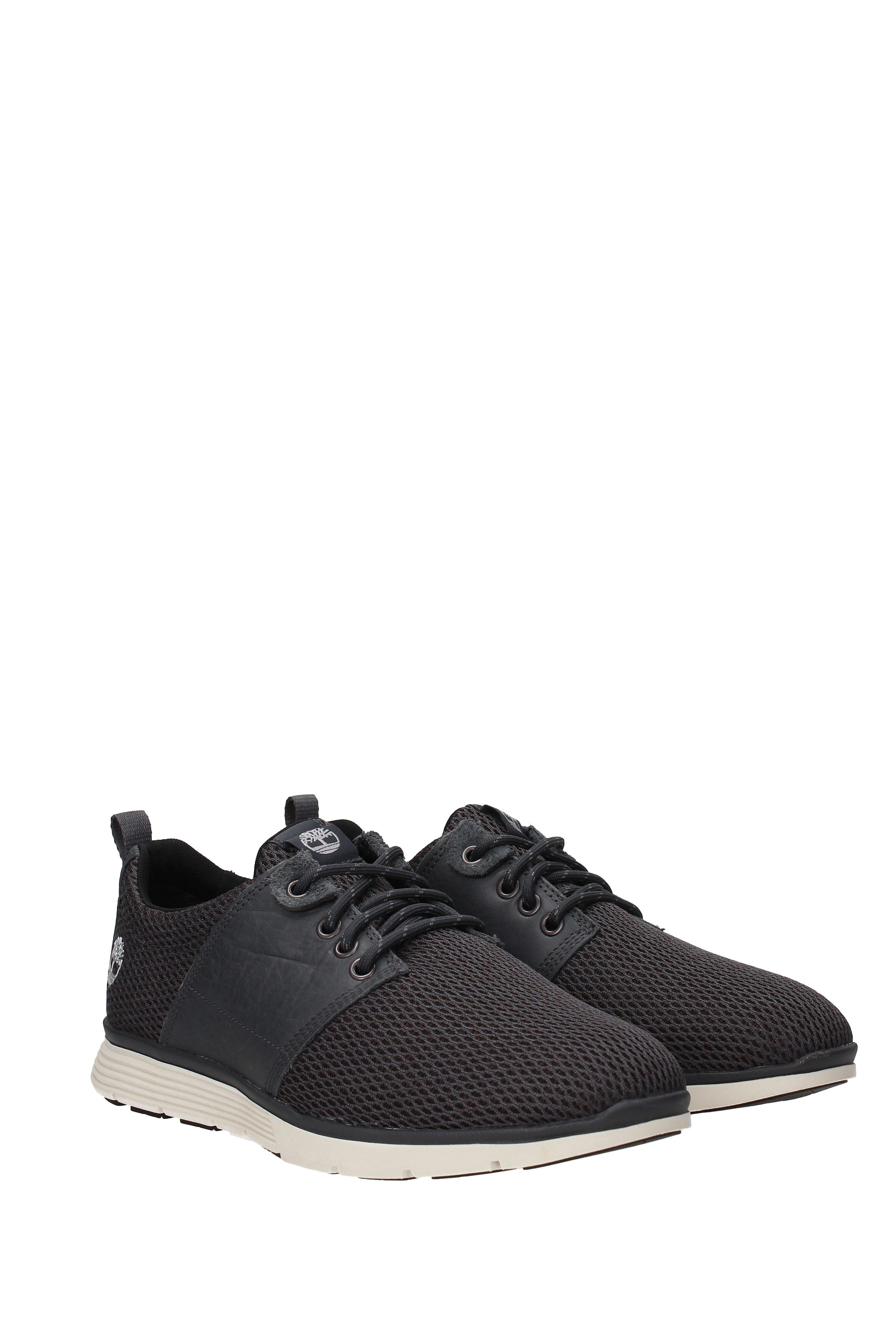 Timberland Sneakers Men Gray for Men - Lyst