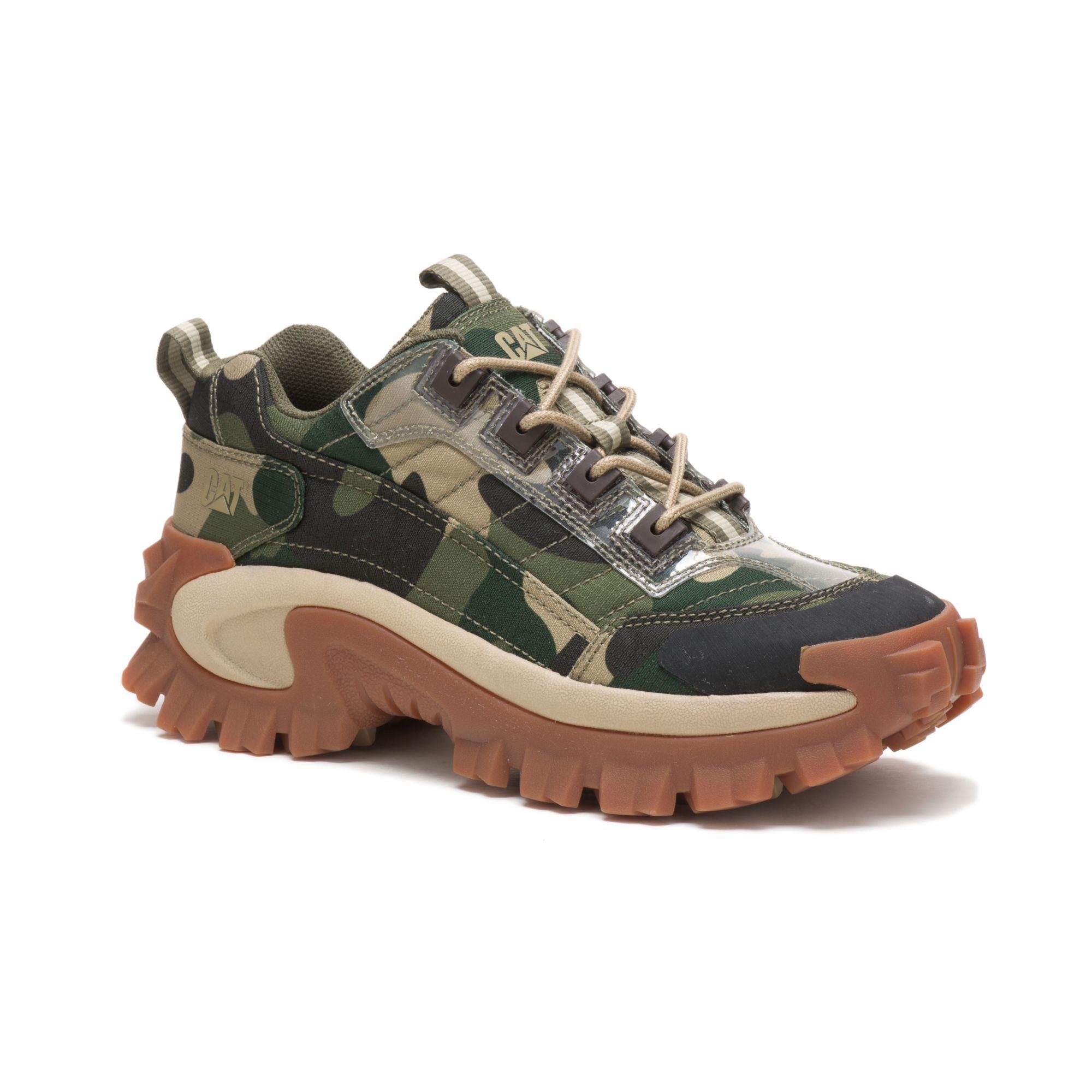 cat intruder shoe