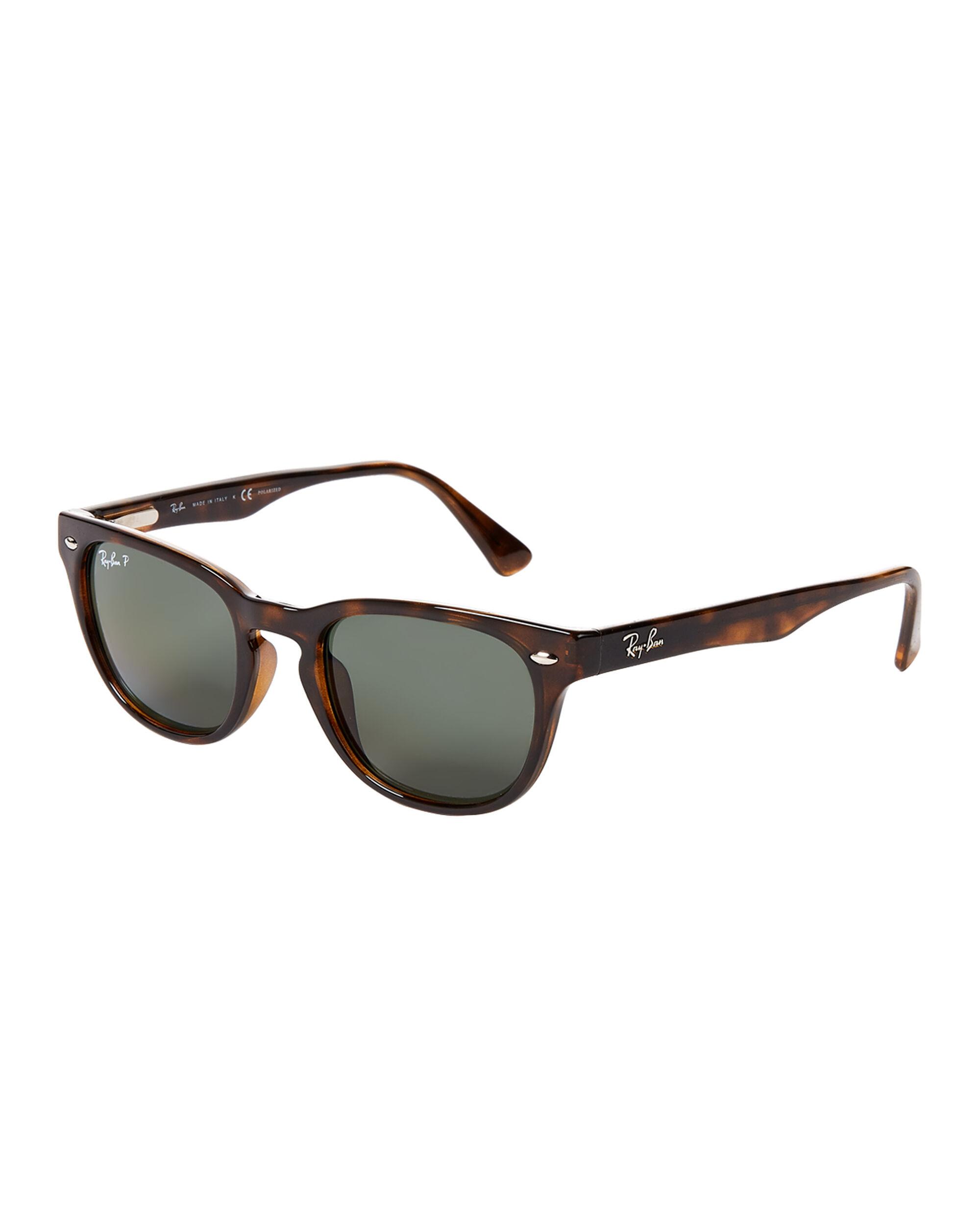 Ray Ban Polarized Tortoise Shell 