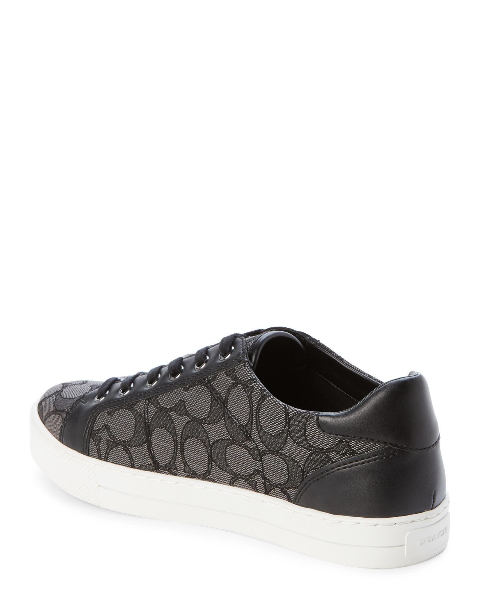 coach paddy sneakers