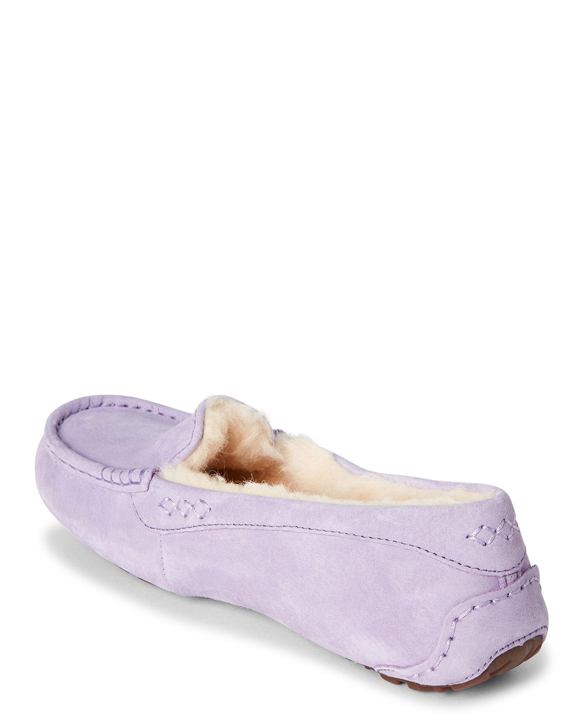 light purple uggs slippers