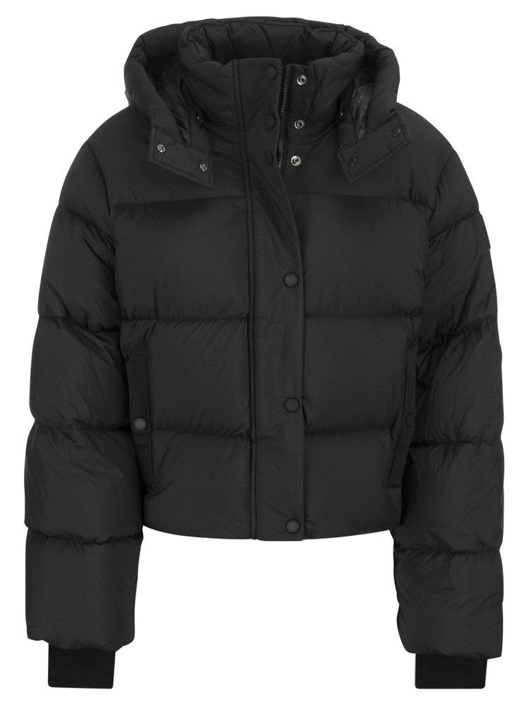 Moose Knuckles Synthetic Prospect Puffer - Padded Jacket in Black - Save 1%  | Lyst