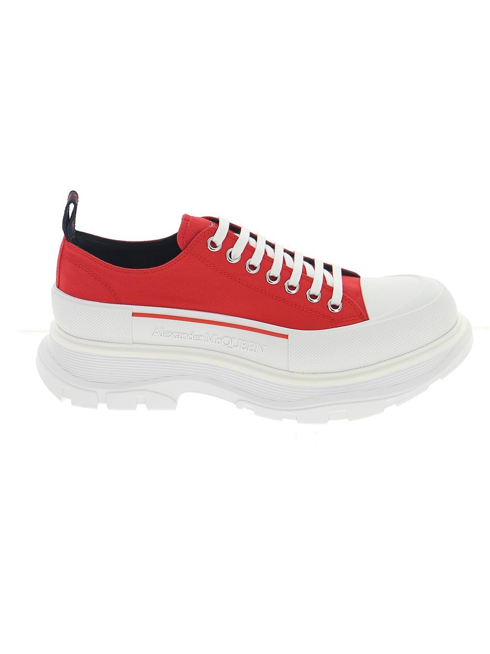 alexander mcqueen canvas