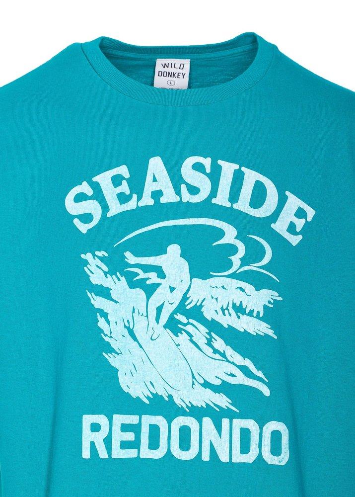 wild-donkey-Blue-Redondo-
