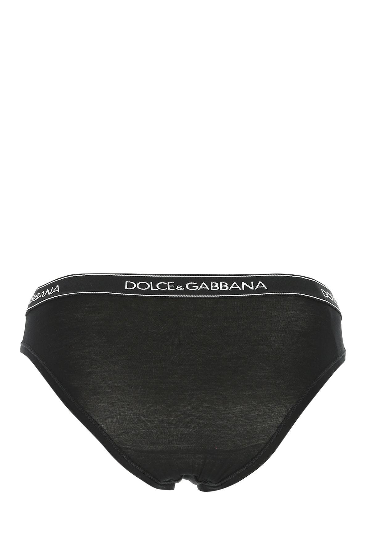 Dolce & Gabbana Cotton Logo Band Briefs in Black - Lyst