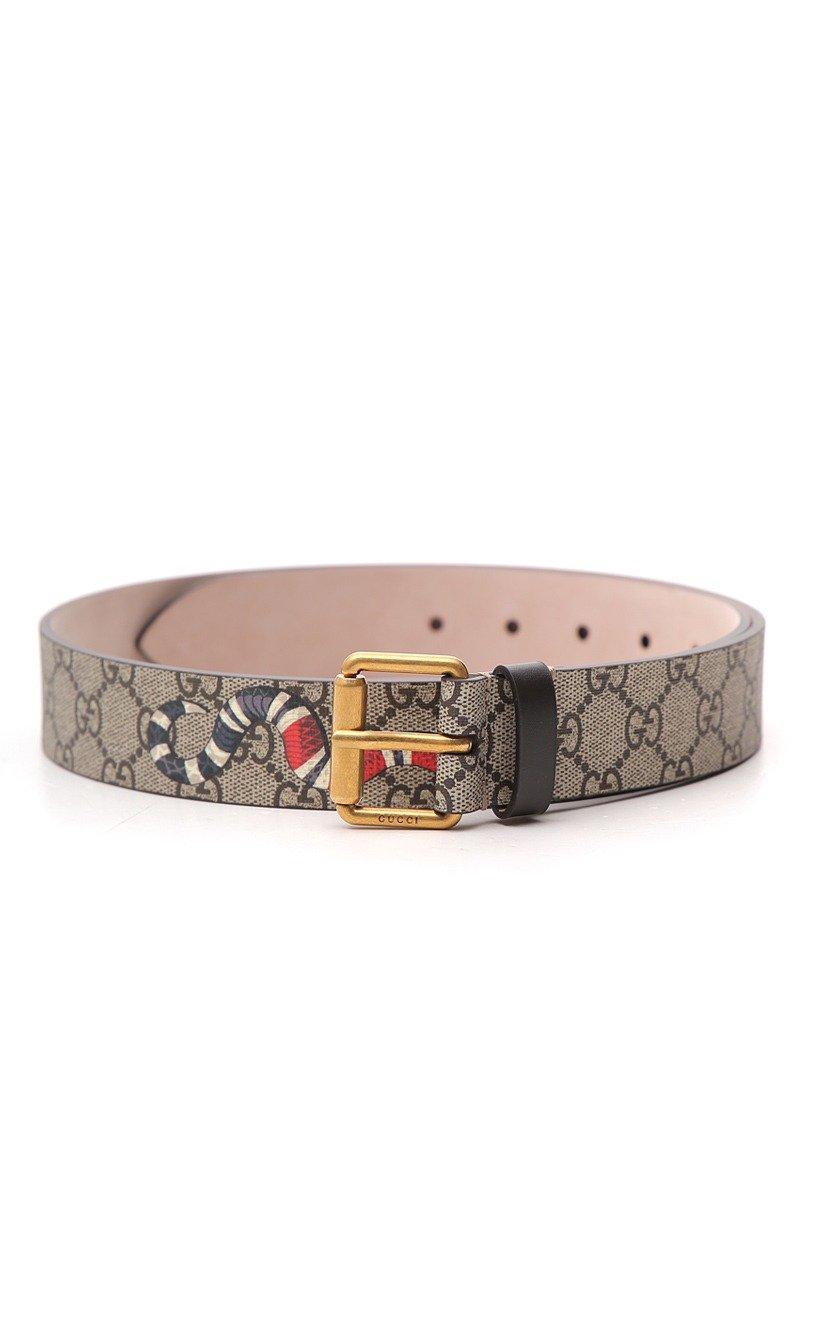 gg supreme belt with kingsnake print