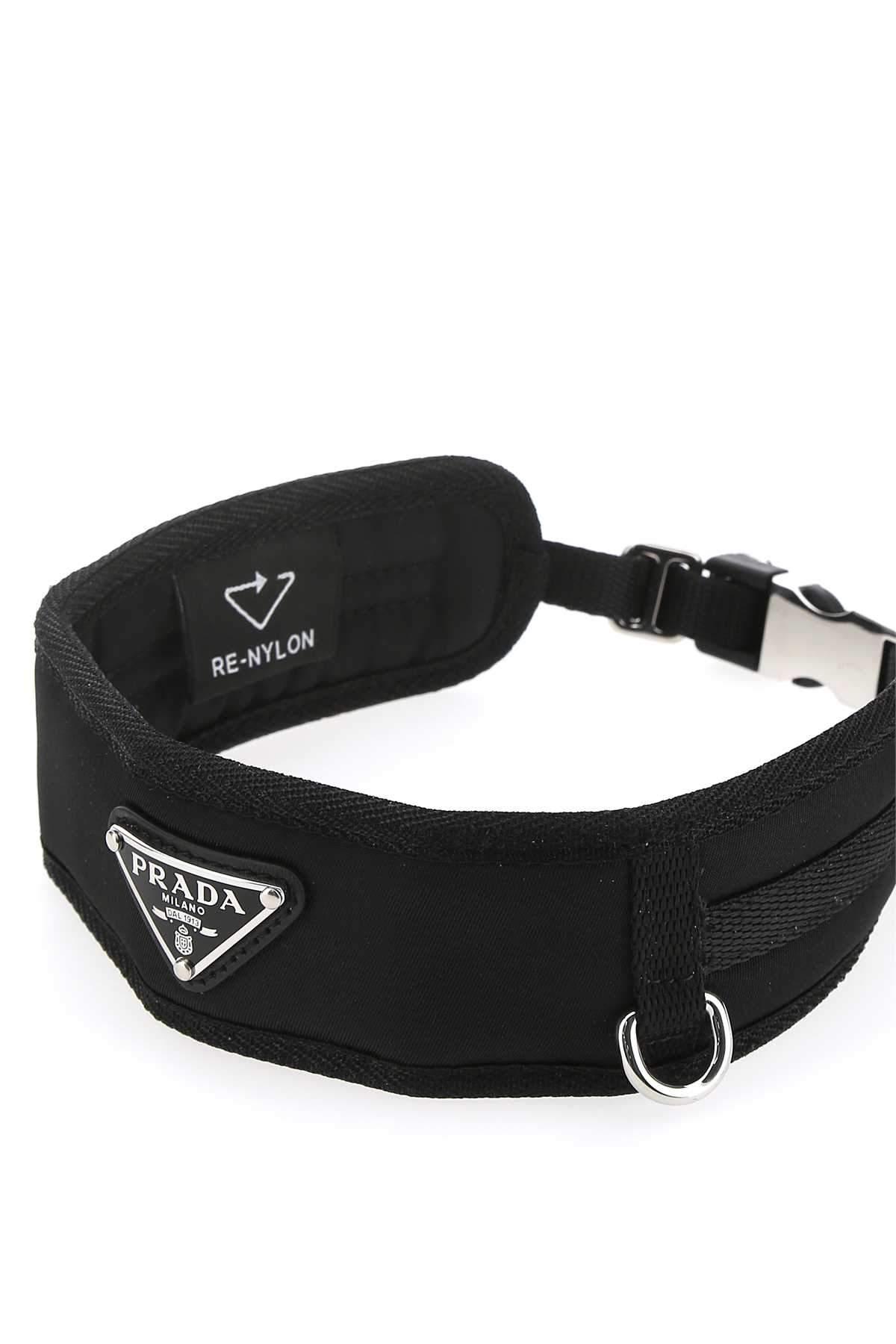 prada dog collar