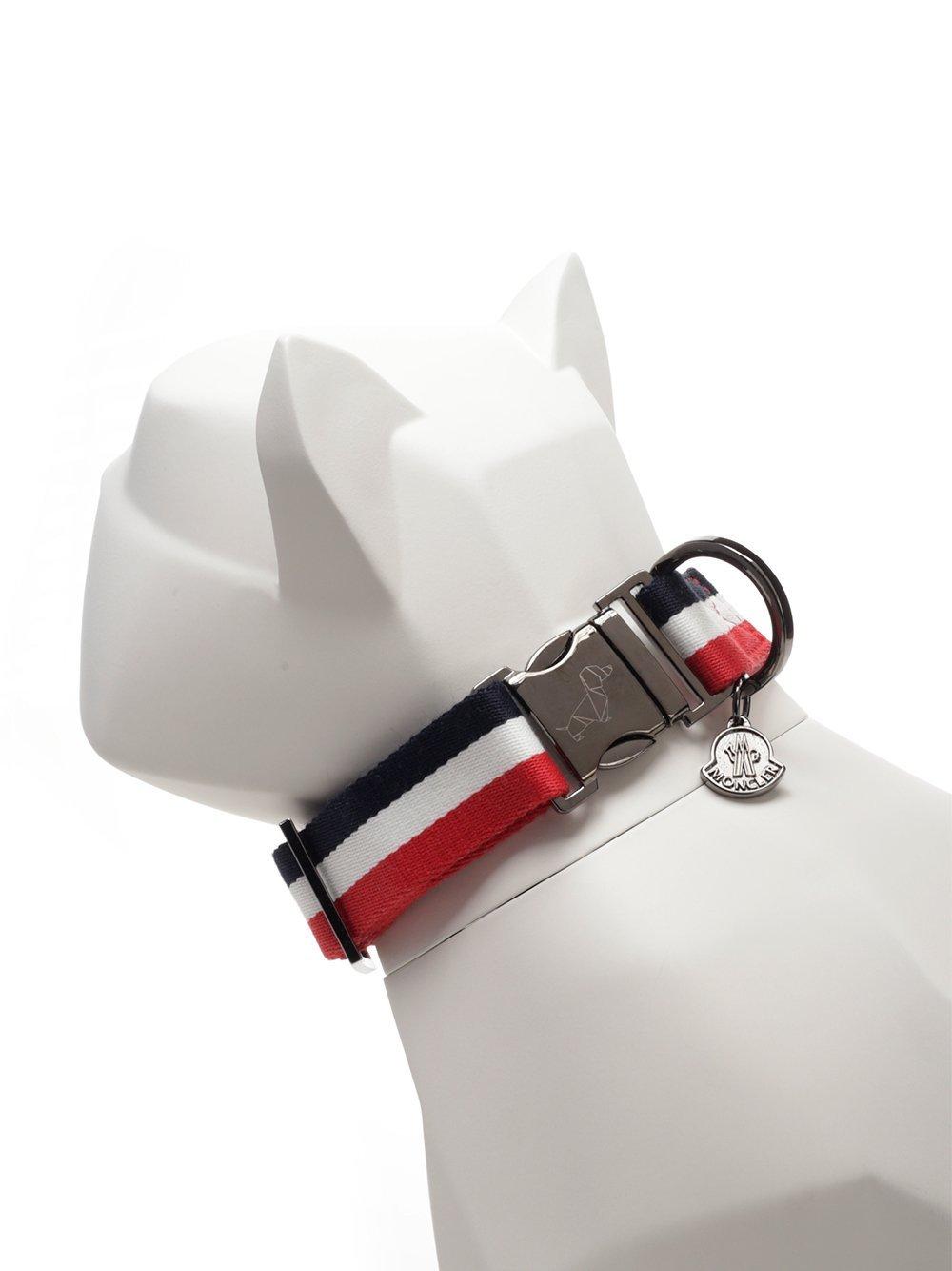 moncler dog collar