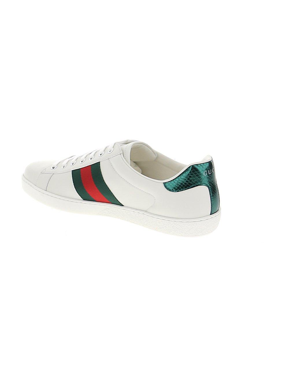 gucci ace snake