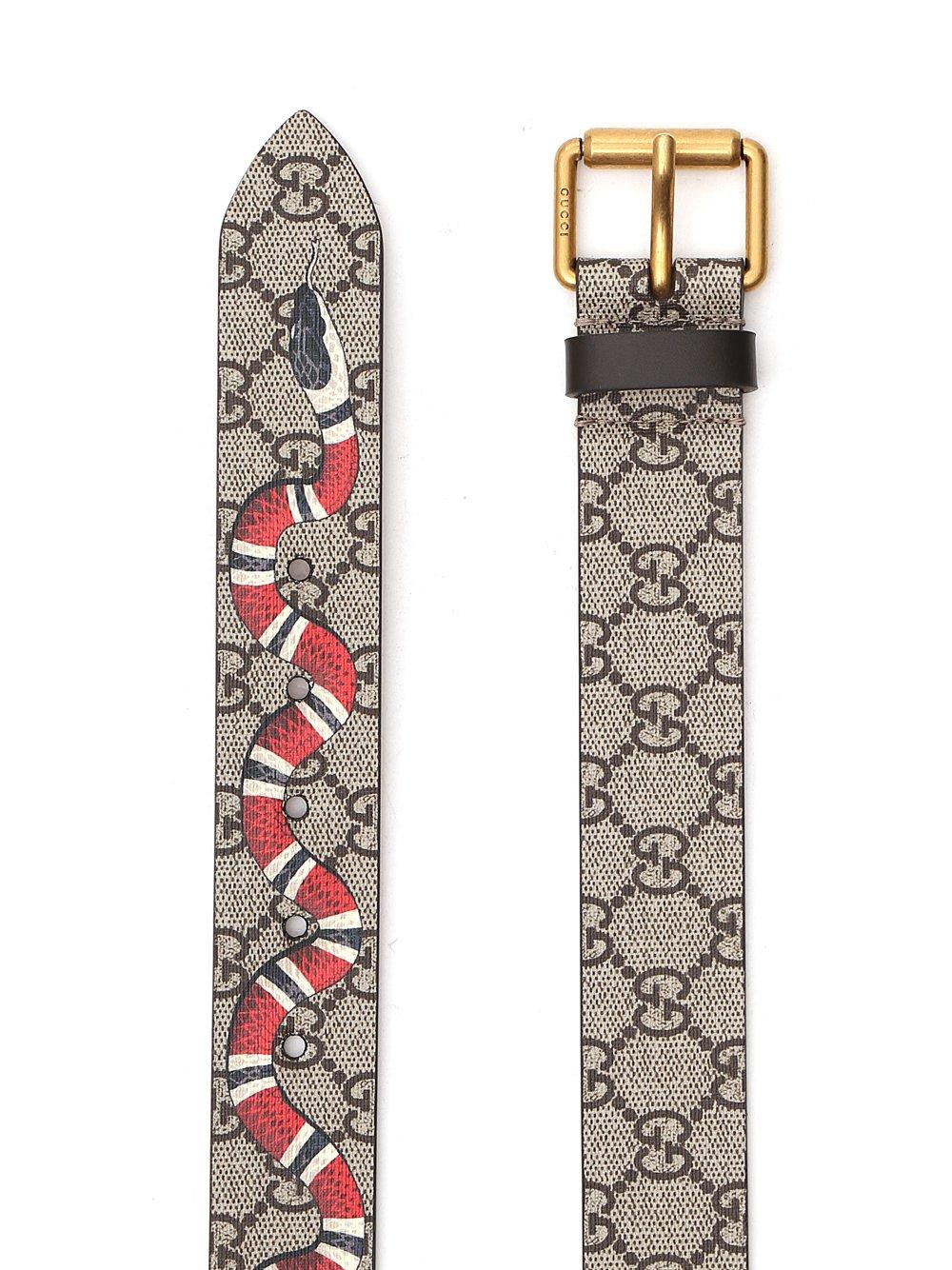 Gangster Solformørkelse bjælke Gucci Canvas Snake Print Gg Supreme Belt for Men - Save 35% - Lyst