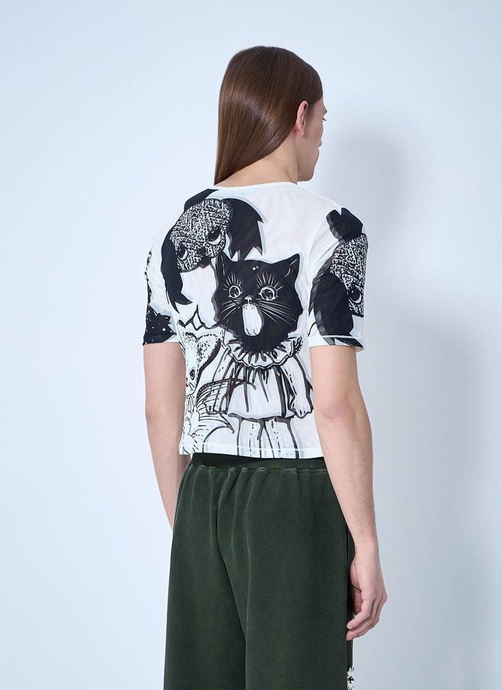 CHOPOVA LOWENA Cat Short S