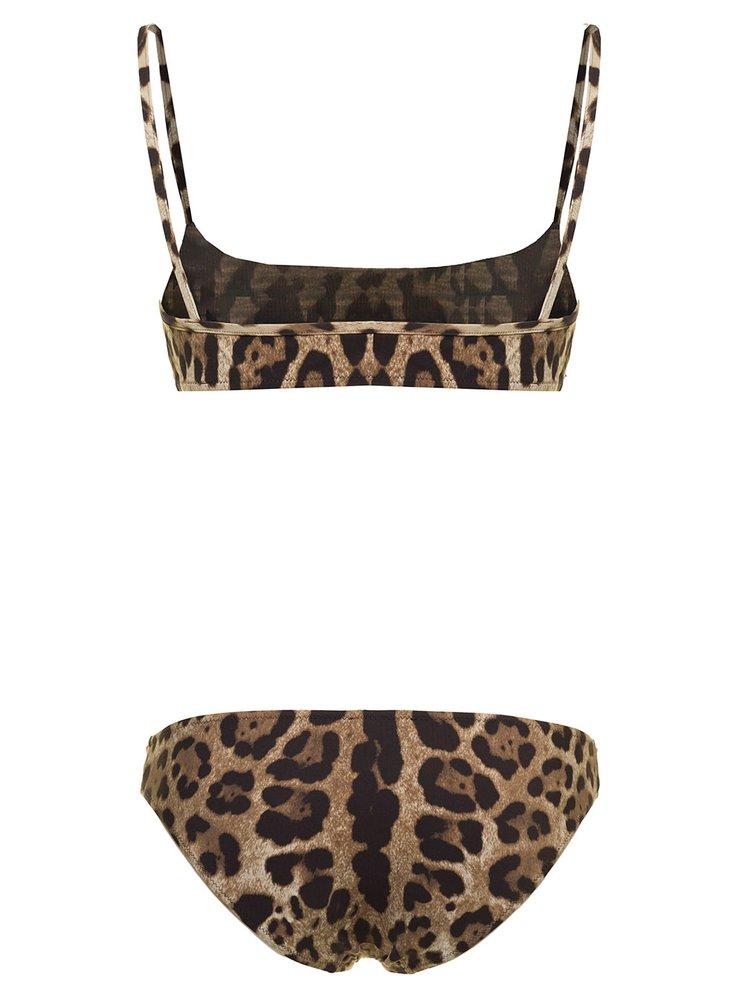 Dolce & Gabbana Leopard Printed Bikini Set | Lyst