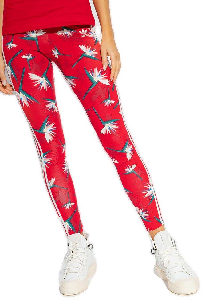 adidas palm print leggings