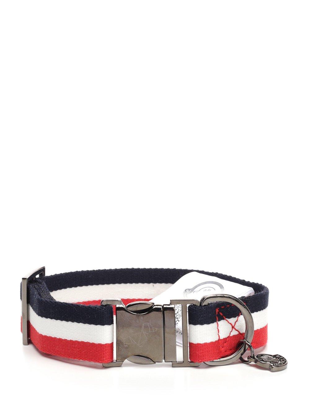 moncler dog collar