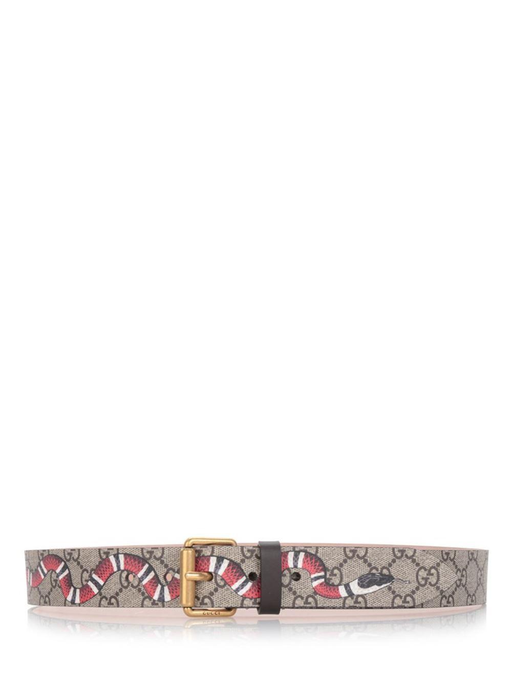 gucci snake print gg supreme belt