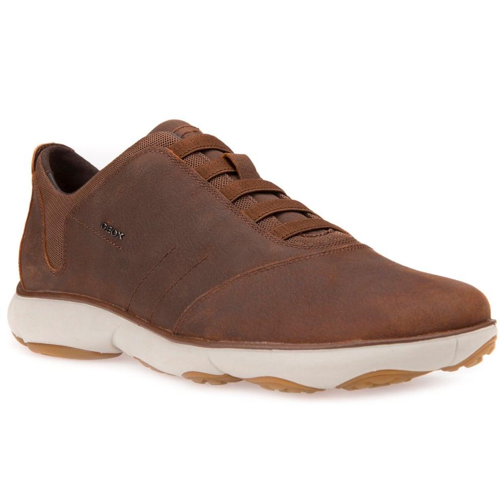 Lyst - Geox Nebula Mens Casual Sports Trainers in Brown for Men