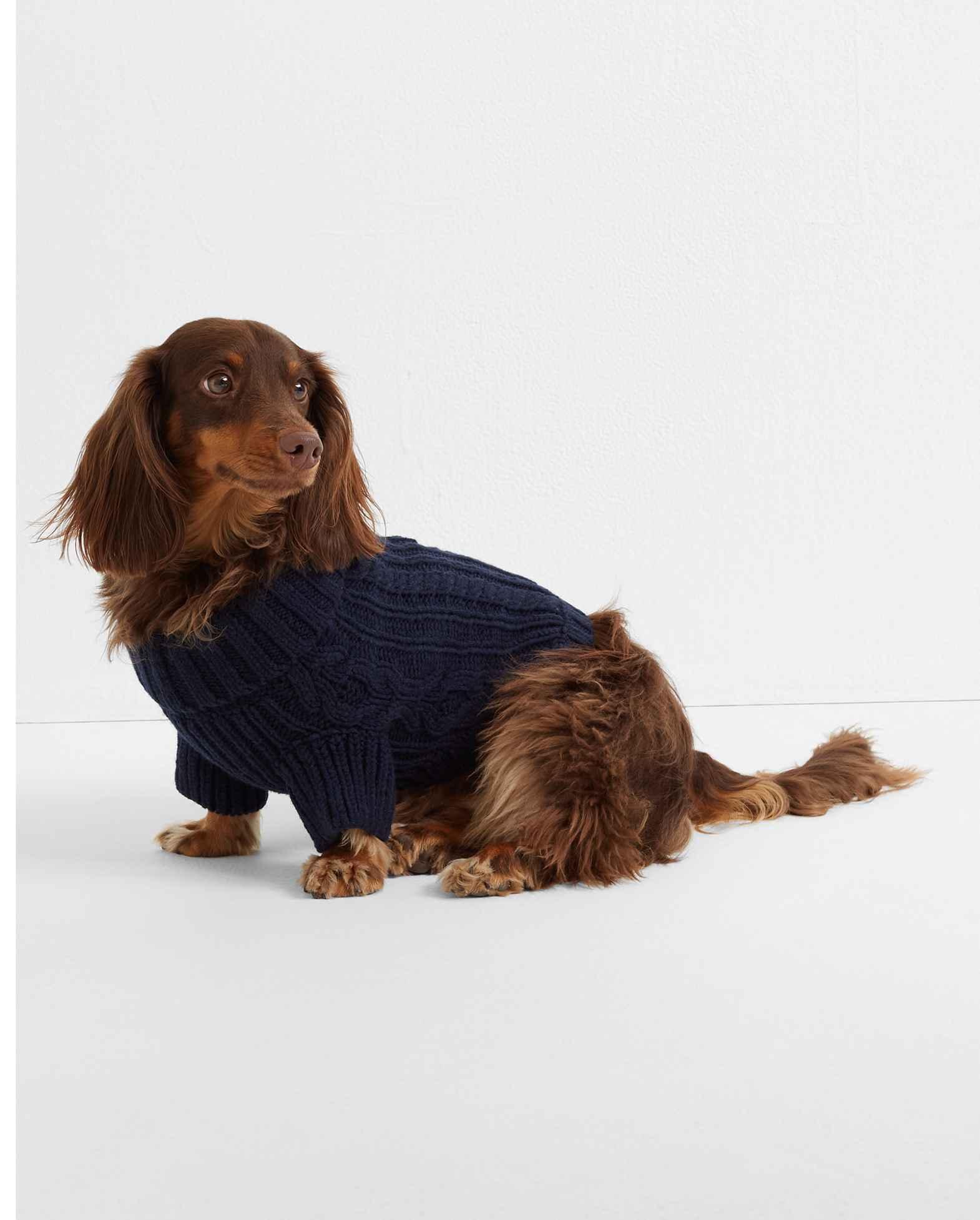 Club monaco dog sweater hotsell