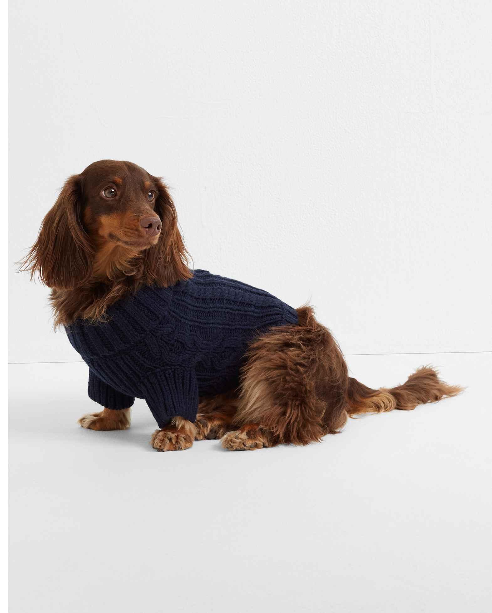 club monaco dog sweater