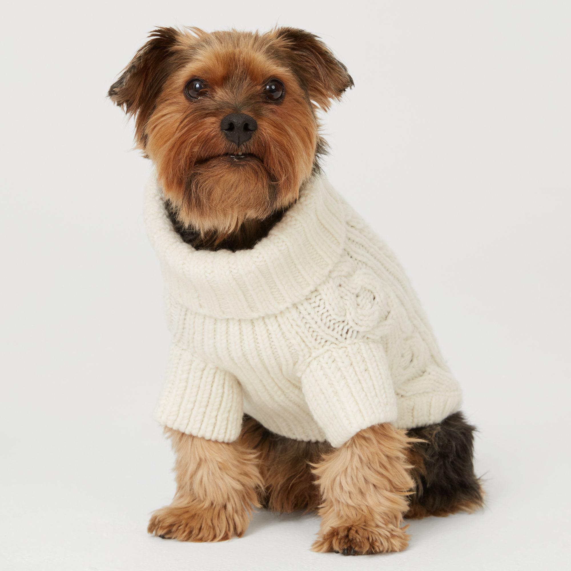 club monaco dog sweater
